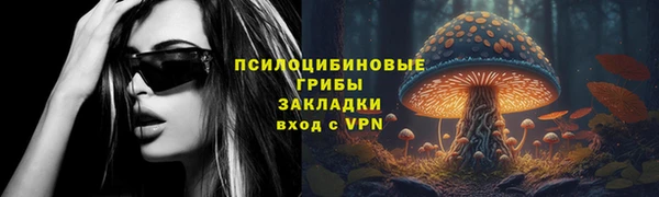 СК Козельск