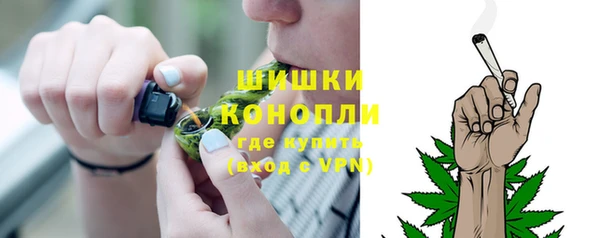 шишки Александровское