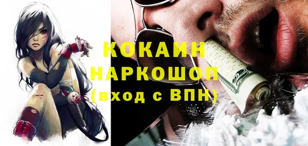 гидра Кущёвская