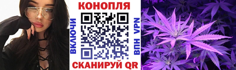 Бошки Шишки Ganja  MEGA ONION  Сычёвка  купить наркотики цена 